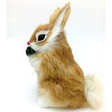 16cm Cute Bunny