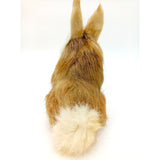 16cm Cute Bunny