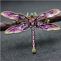 Unique Dragonfly Brooch