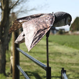 Large Realistic Flying Owl | Sizes:66*100*26cm