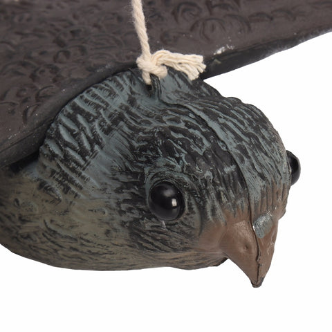 Garden Flying Bird Owl