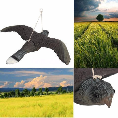 Garden Flying Bird Owl