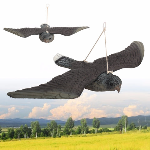 Garden Flying Bird Owl