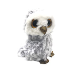 Big Eyes Cute Owl - Soft Plush